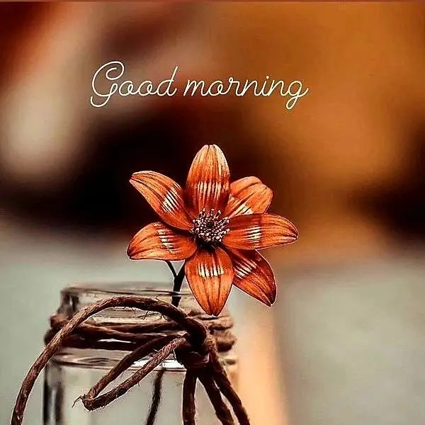 good morning pics